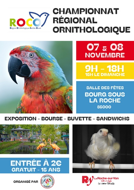 Régional oiseaux ROCO 2025