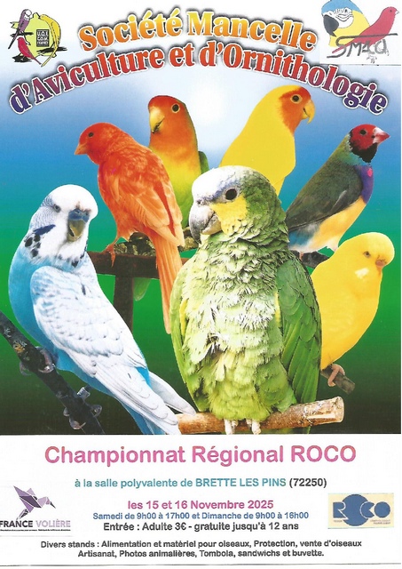 Régional oiseaux ROCO 2025